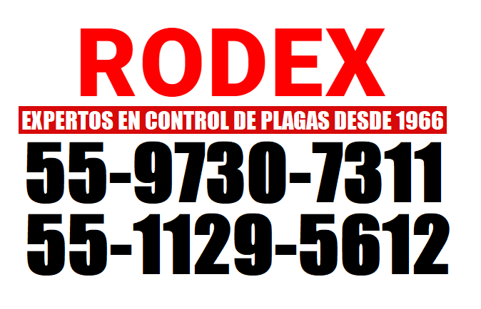 RODEX