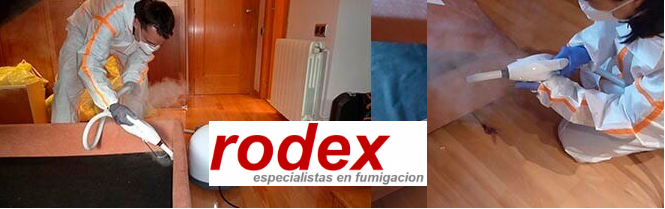 RODEX 2022