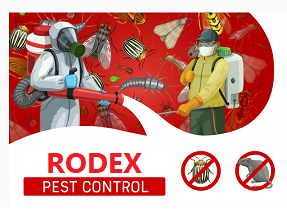 RODEX-PEST-CONTROL